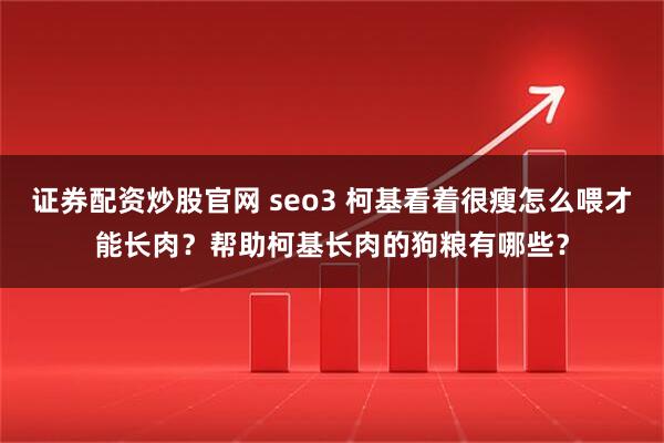 证券配资炒股官网 seo3 柯基看着很瘦怎么喂才能长肉？帮助柯基长肉的狗粮有哪些？